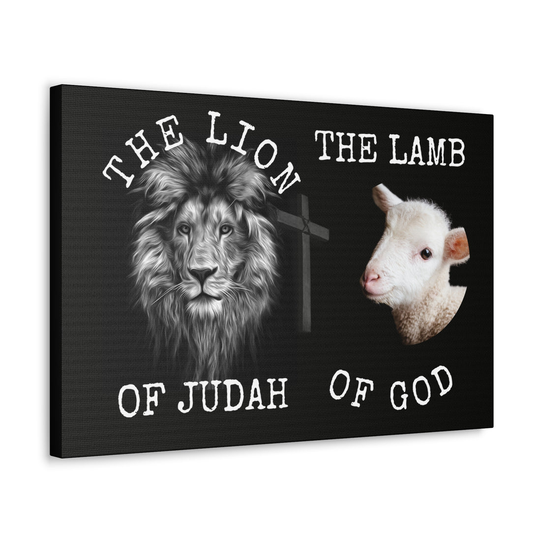 Lion and Lamb, Canvas Gallery Wraps