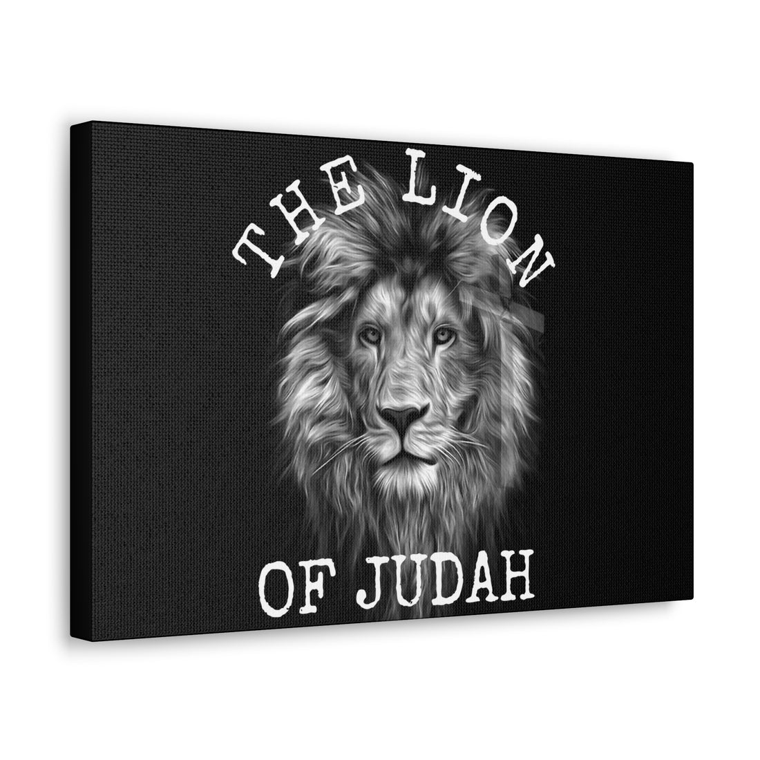 Lion of Judah, Canvas Gallery Wraps